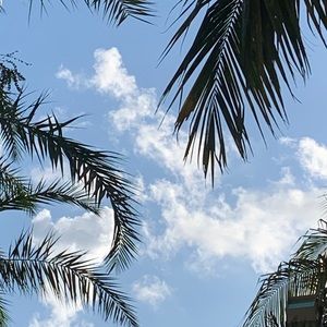 pics of the sky r hella hard to find so ima just sell em msg my on ig imborlnggg